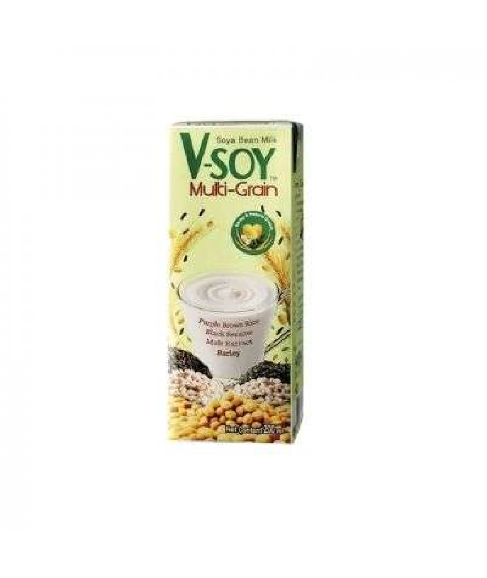 V-SOY MULTI-GRAIN SOYA MILK 200ML