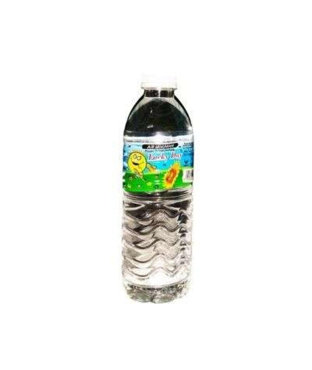 LUCKY DAY DRINKING WATER 500ML