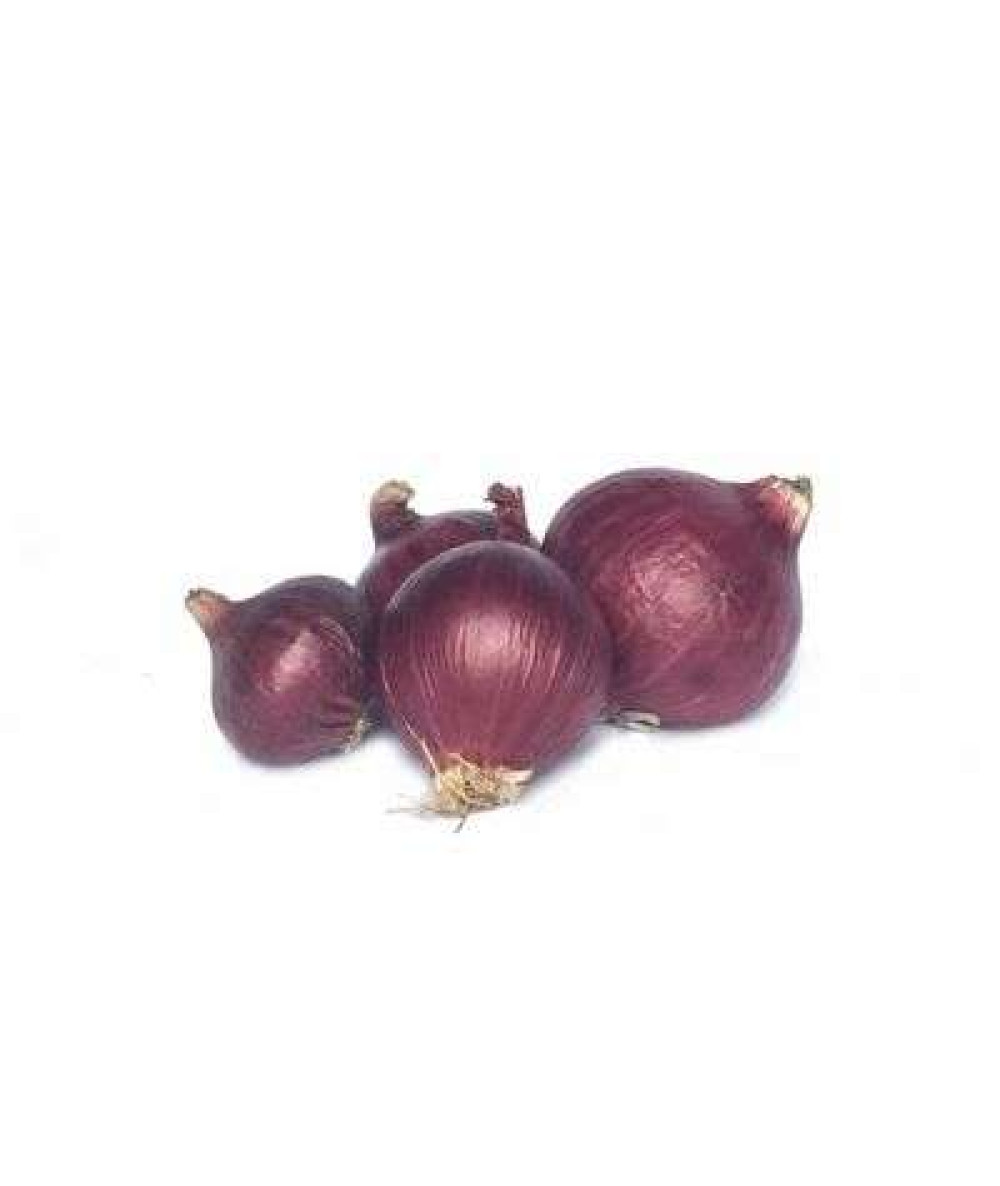 BAWANG ROSE INDIA KG