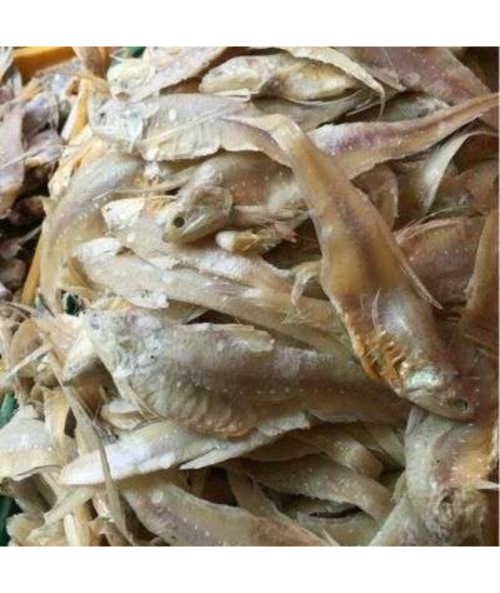 IKAN MASIN BULU AYAM