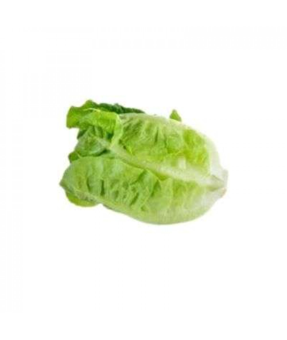 BABY LETTUCE (YAUMATAM) KG