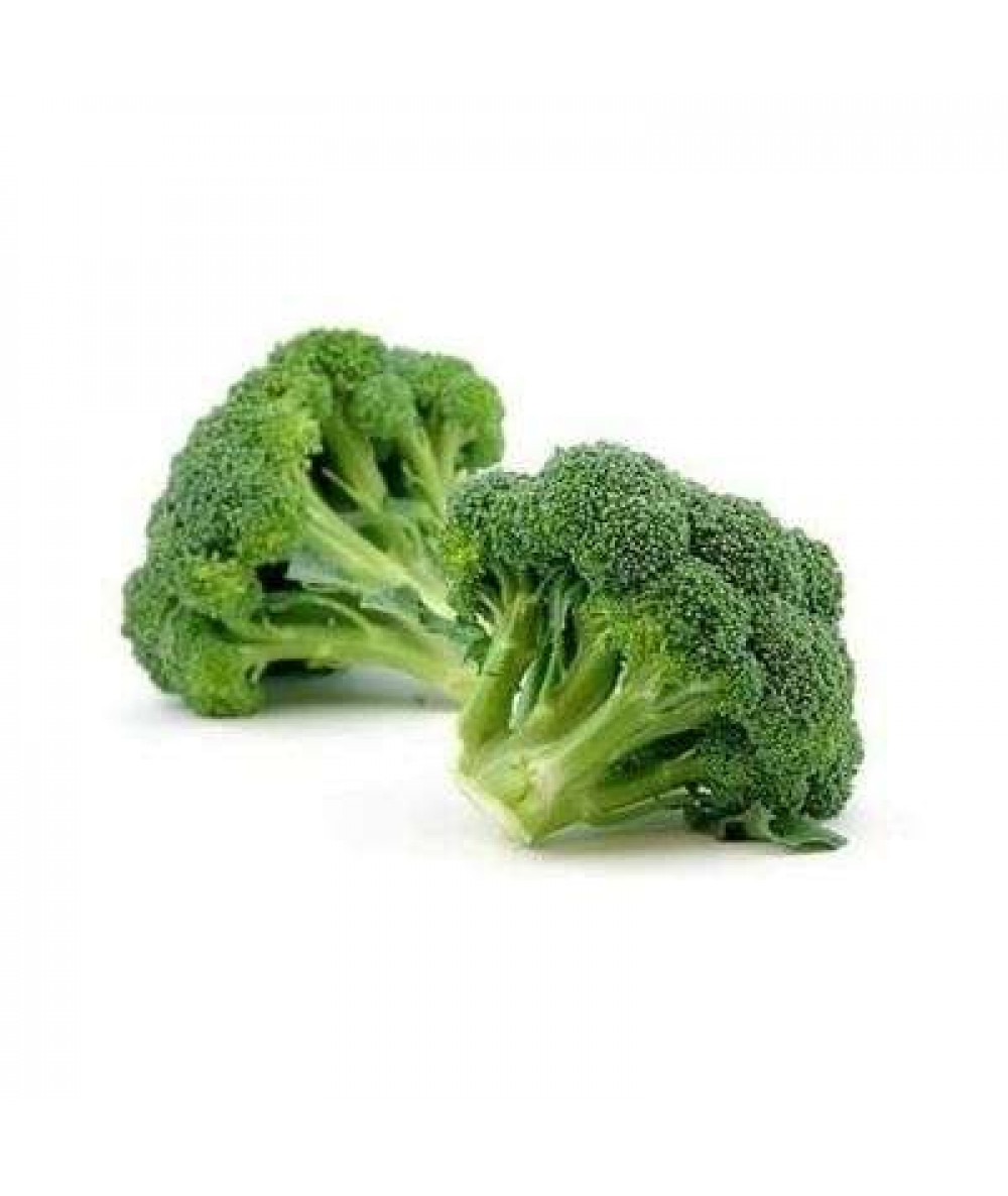 BROCOLI KG