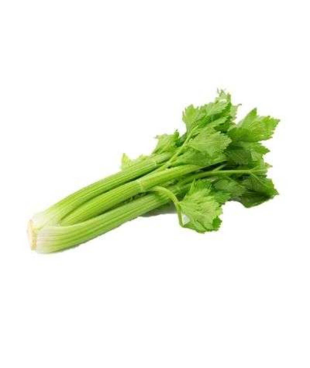 CELERY CHINA KG