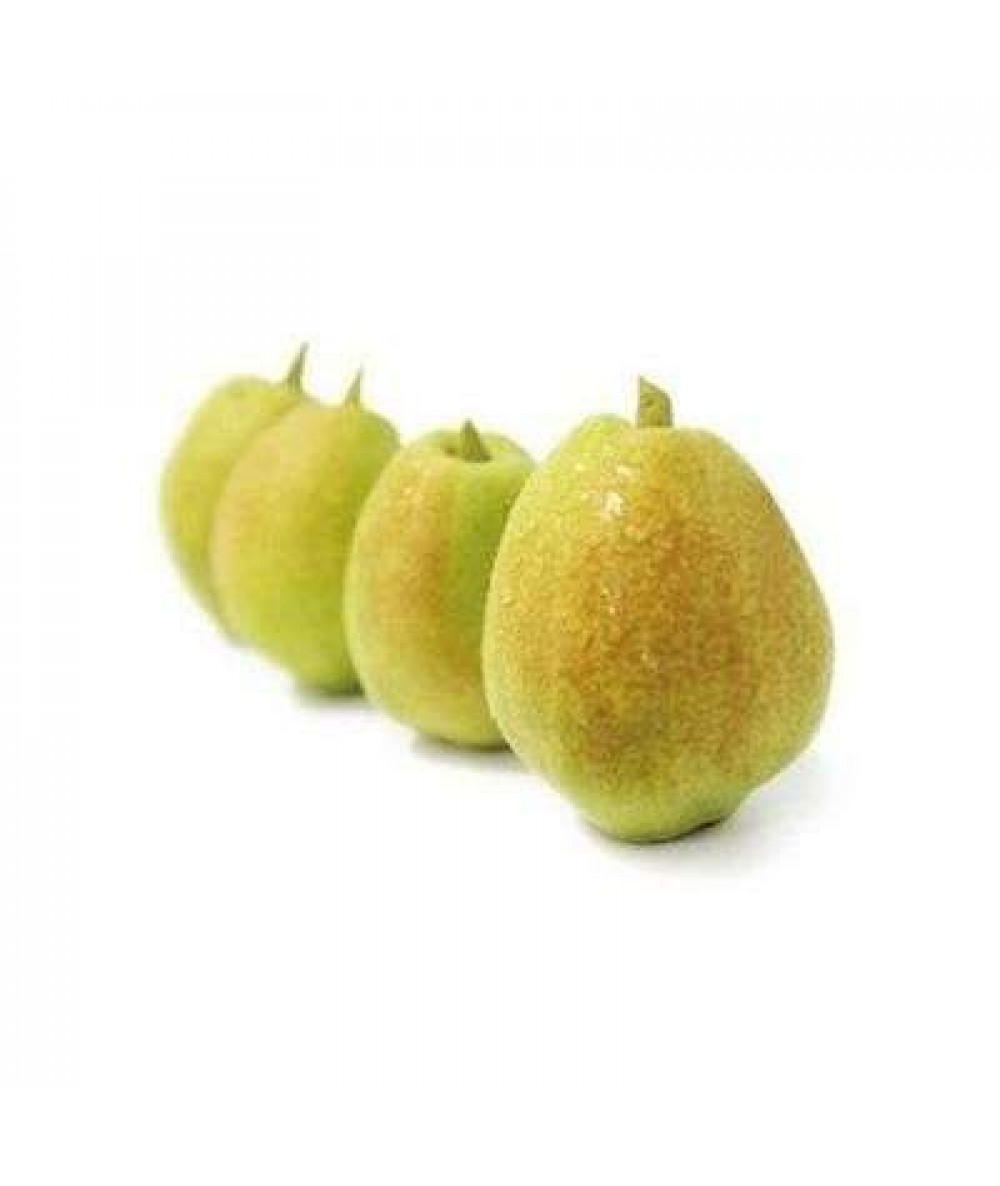 PEAR WANGI KG