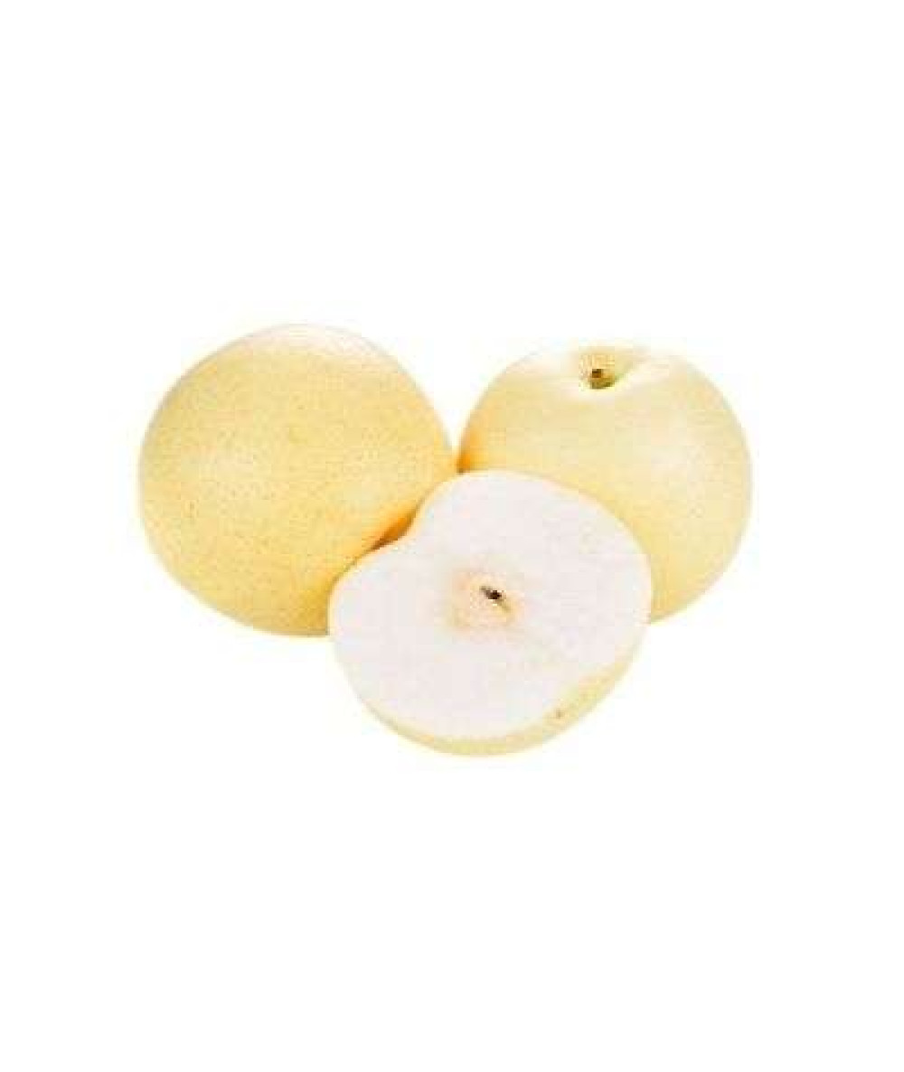 CENTARY PEAR 5PCS