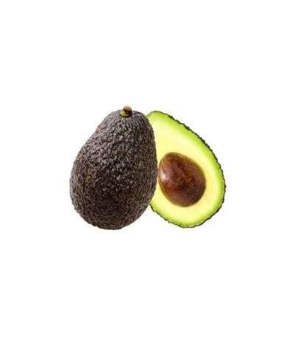 AVOCADO US 1 PCS