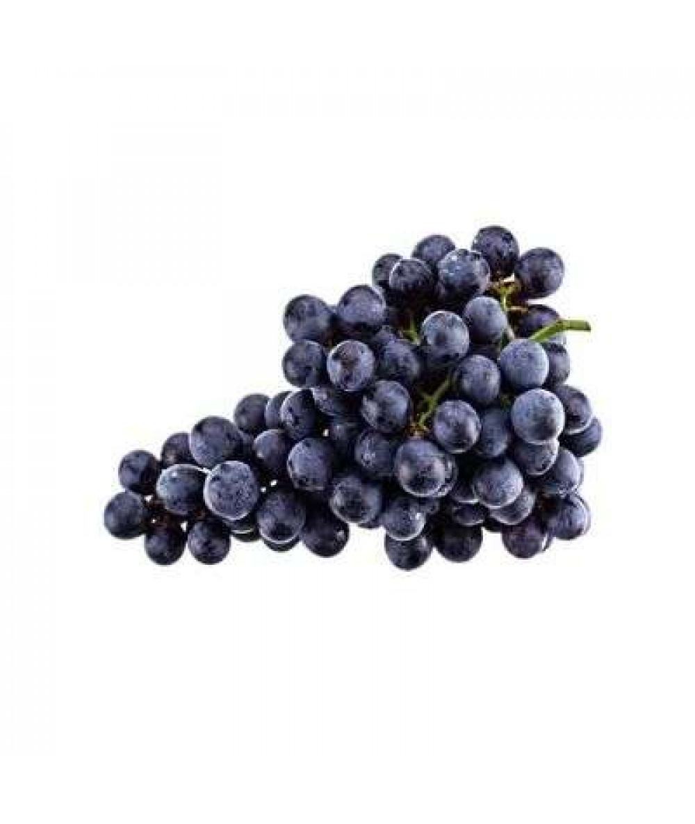 AUSTRALIA BLACK SEEDLESS GRAPE