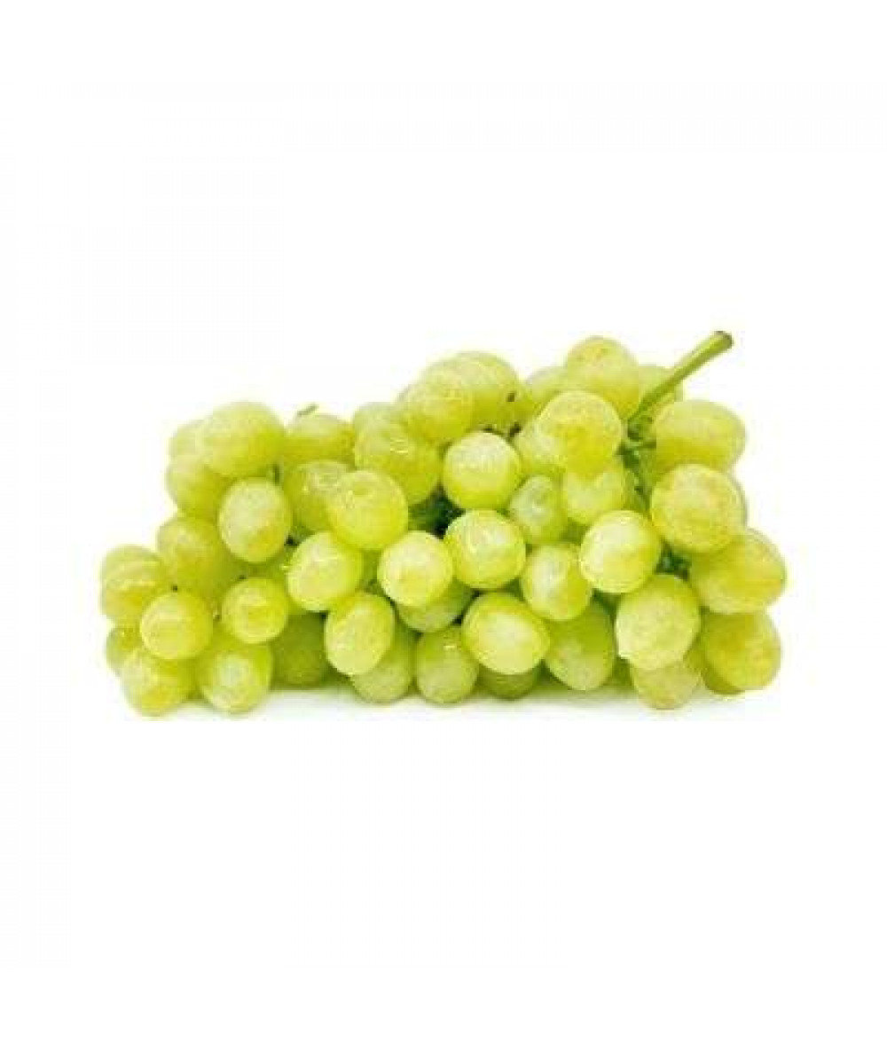 AUSTRALIA GREEN SEEDLESS GRAPE 澳洲青葡萄