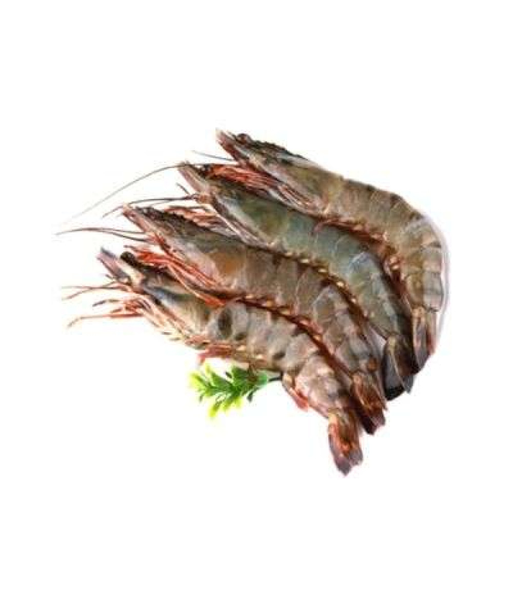 UDANG HARIMAU A 虎虾 KG